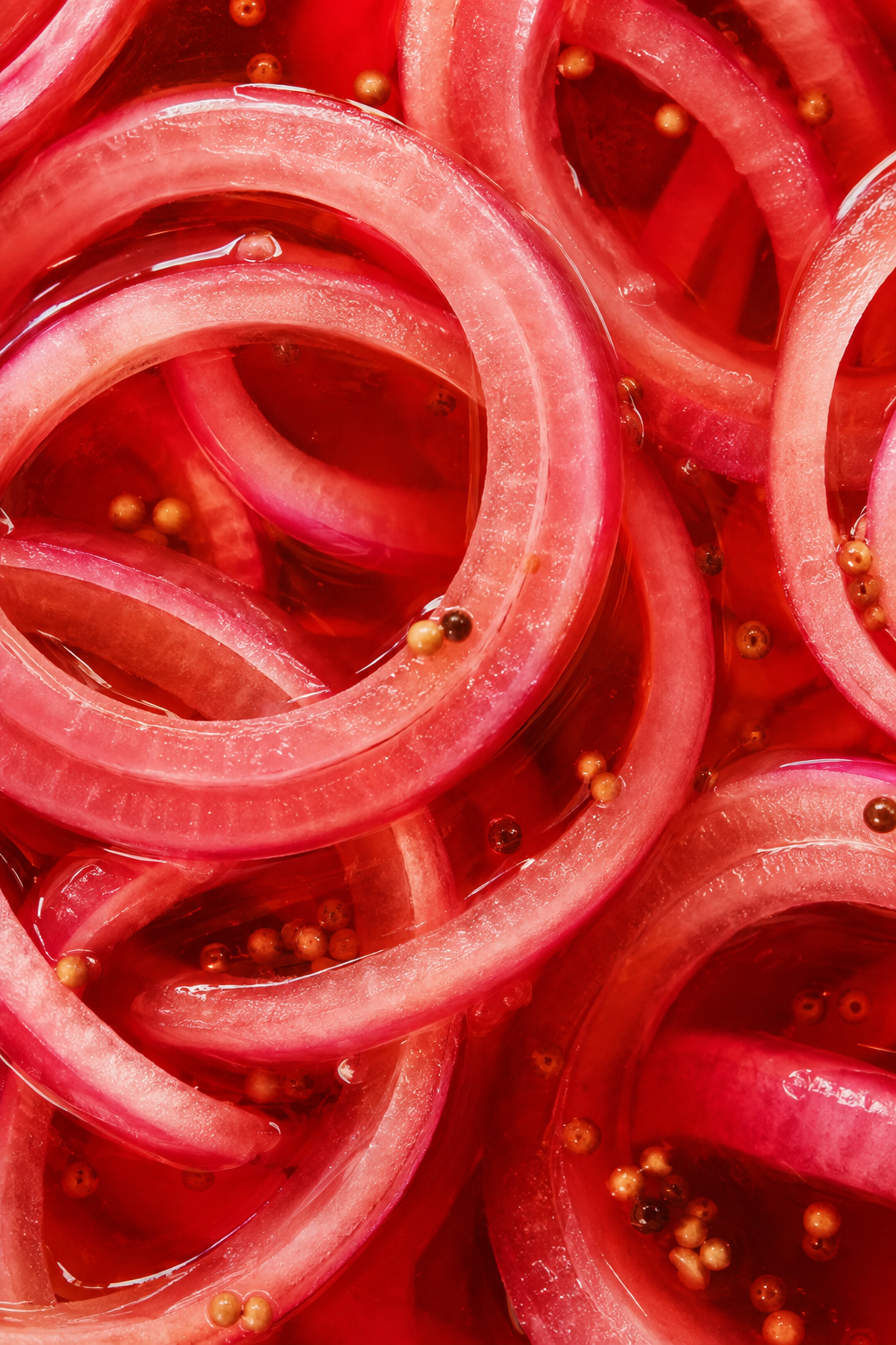 Red onion rings and seeds in brine